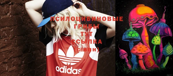 тгк Абдулино