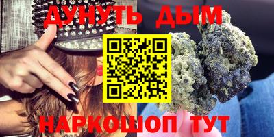 МДПВ Бердск