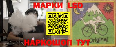 МДПВ Бердск