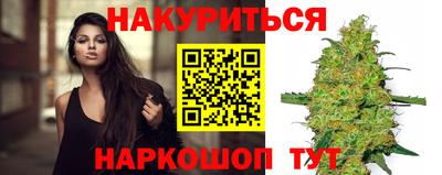 МДПВ Бердск