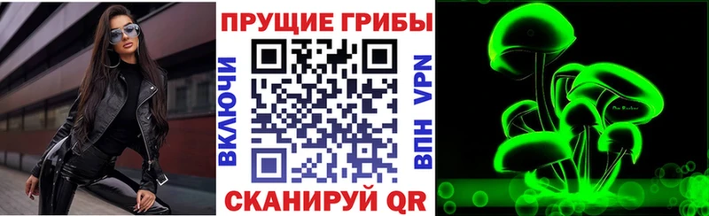 что такое   Абакан  Псилоцибиновые грибы GOLDEN TEACHER 